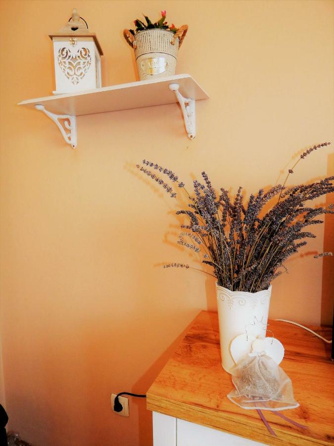 Studio Apartman Tvrtko Varaždin Exterior foto